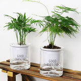 Hidroflower - Vaso de Planta Autoirrigável