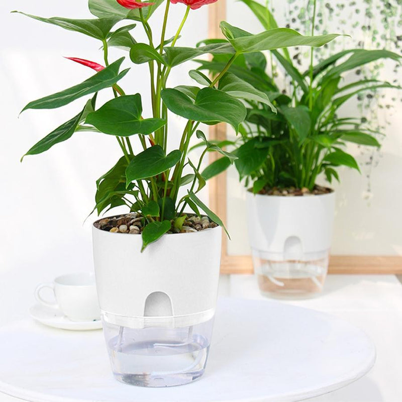 Hidroflower - Vaso de Planta Autoirrigável